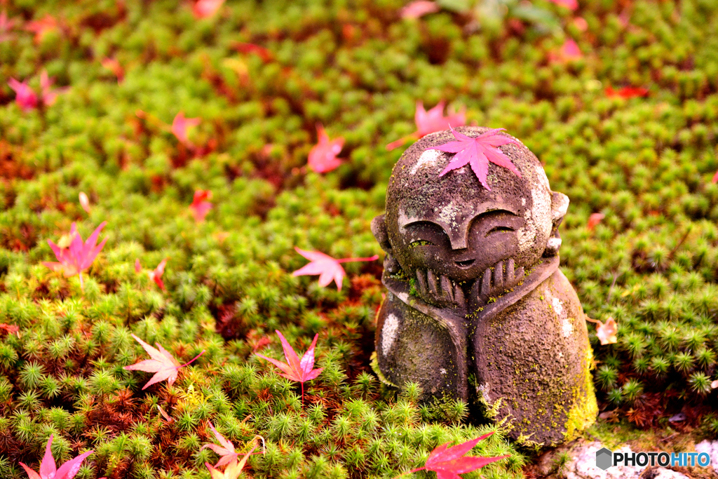 圓光寺　地蔵様