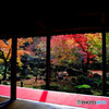 圓光寺庭園