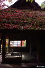 晩秋の芭蕉庵