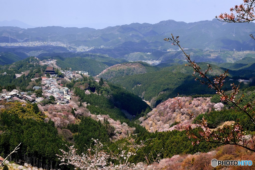 吉野山　中千本