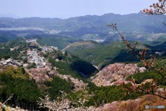 吉野山 中千本