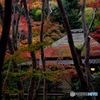 祇王寺1