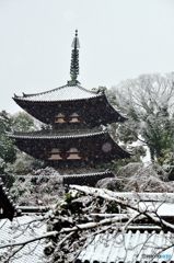 雪の当麻寺・三重塔