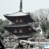 雪の当麻寺・三重塔