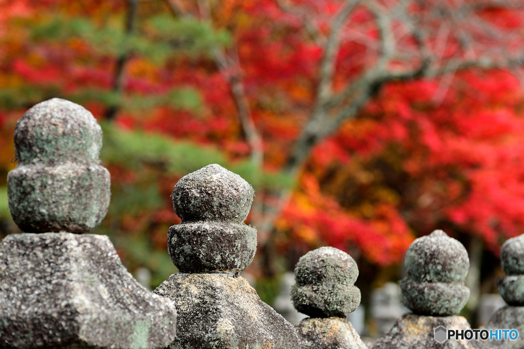 化野念仏寺３