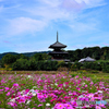 今年の法起寺