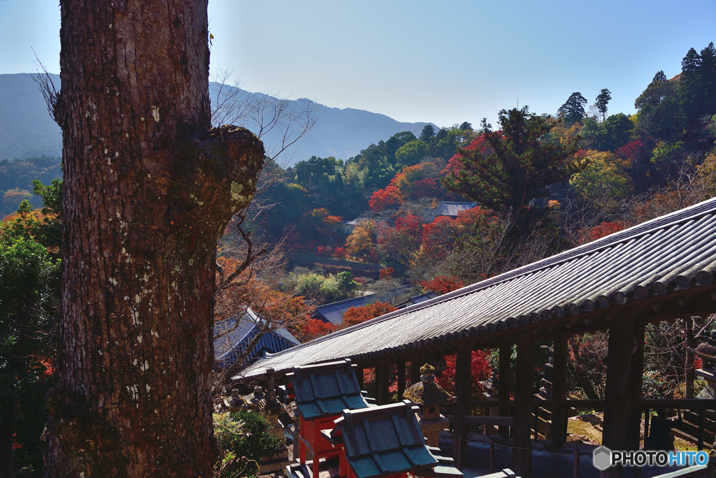 長谷寺の回廊