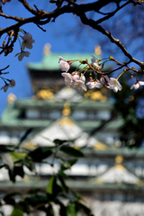 西ノ丸庭園