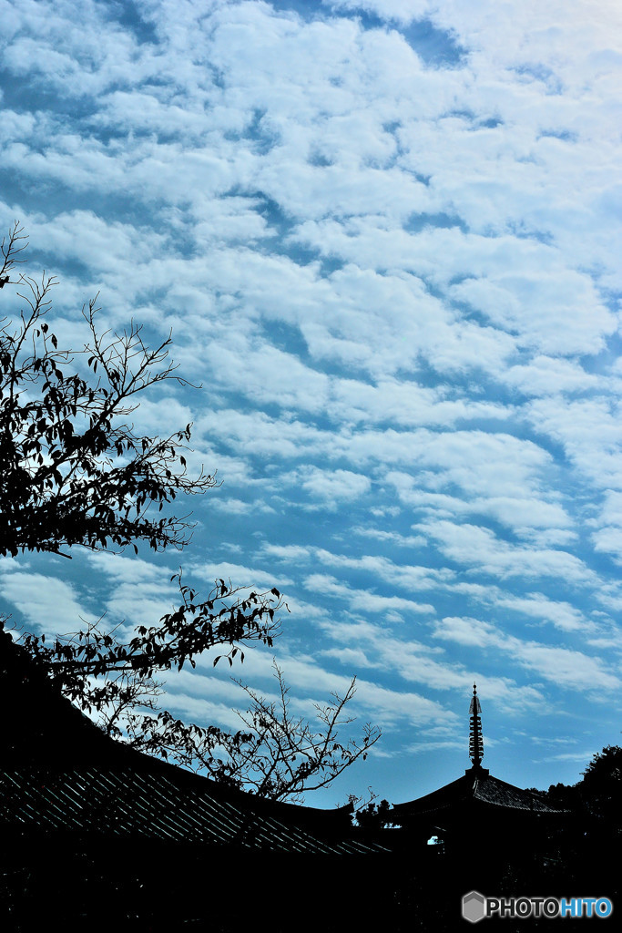 秋空