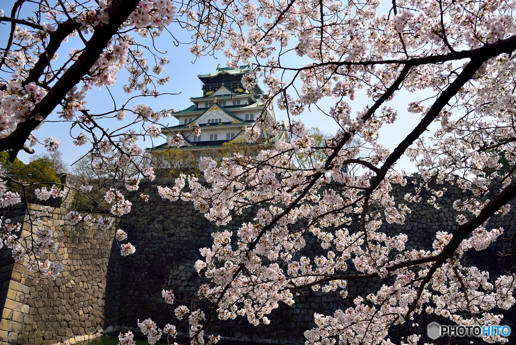 大阪城西ノ丸庭園１