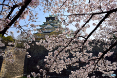 大阪城西ノ丸庭園１