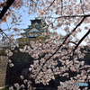 大阪城西ノ丸庭園１