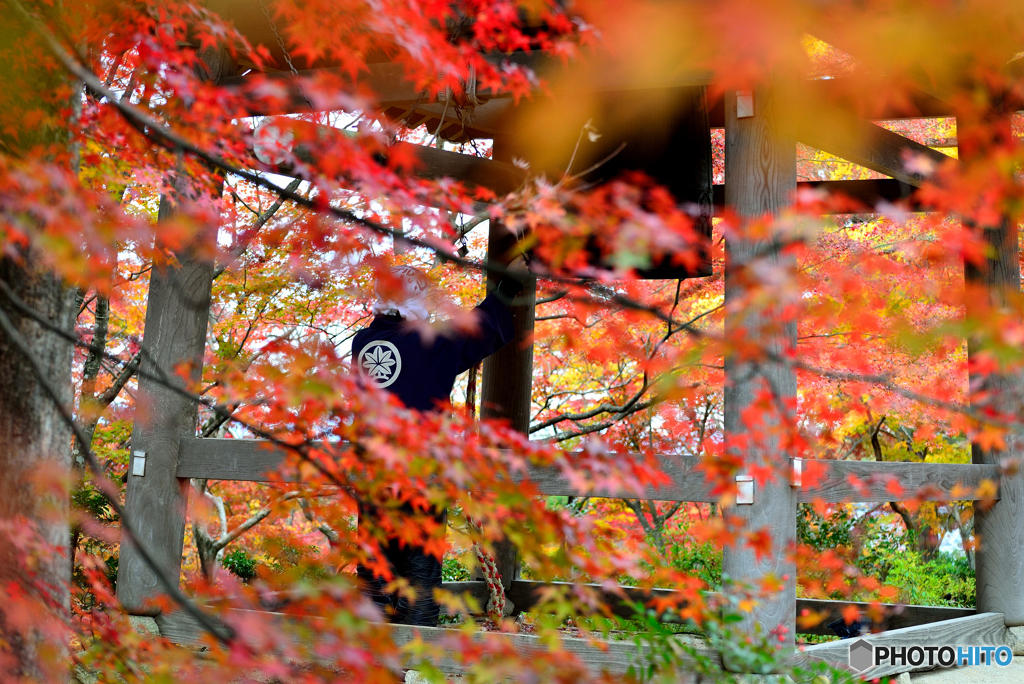 常寂光寺２