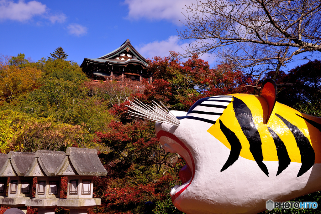 吼える虎