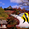 吼える虎