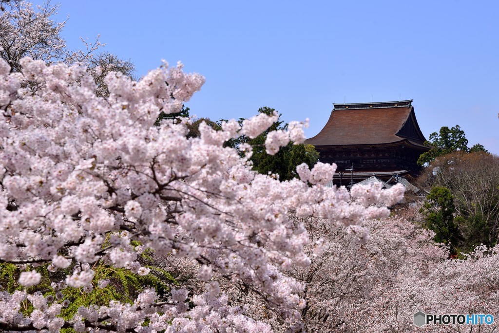 吉野山　蔵王堂