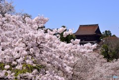 吉野山　蔵王堂