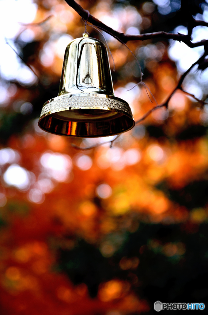 森のクリスマス