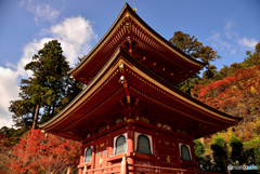 勝尾寺（２）