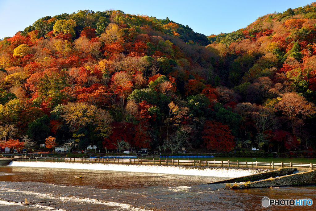 嵐山の紅葉