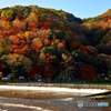 嵐山の紅葉