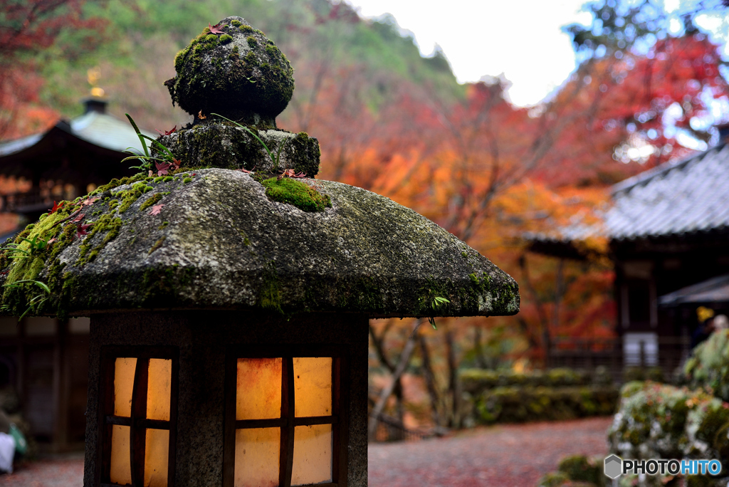 愛宕(おたぎ)念仏寺２