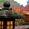 愛宕(おたぎ)念仏寺２
