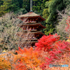 長谷寺錦秋の塔