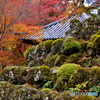 愛宕(おたぎ)念仏寺１