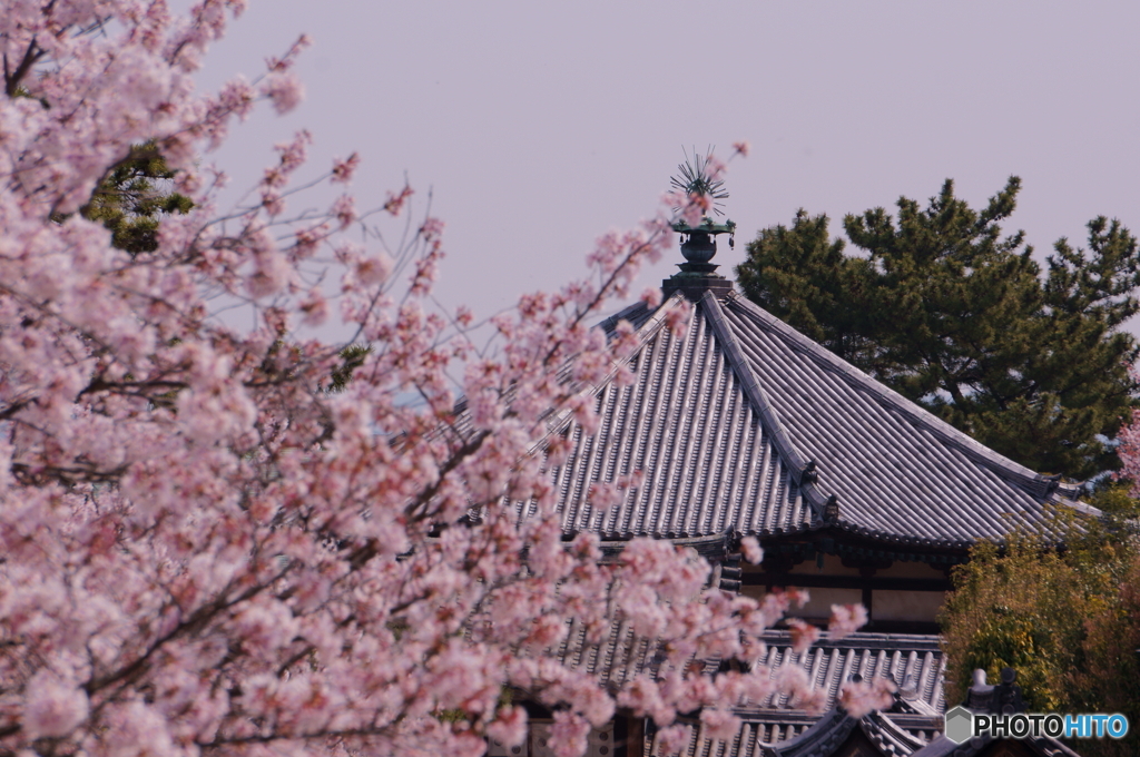 法隆寺金堂