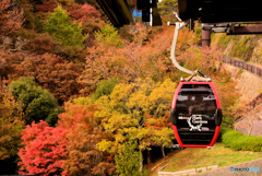 眼下の紅葉