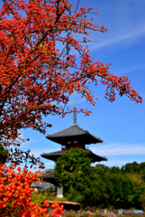 南天と法起寺