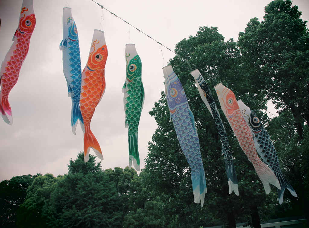 今日は子供の日