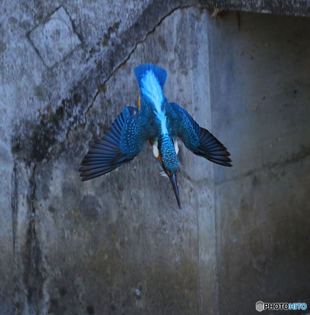 青いハリケーン!