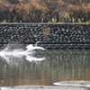 着水02