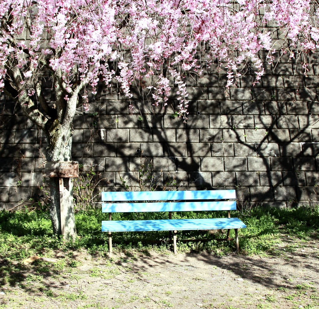 けやき公園ベンチ　あの花聖地巡礼