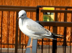 う～ん。