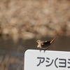 じゃ～ね～