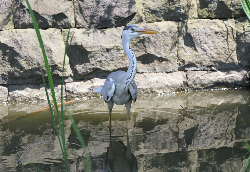 まだ、飲み込んでないよ。