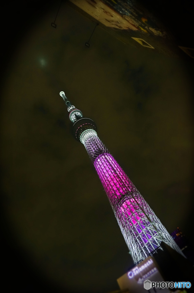 夜空を彩る桜カラー634