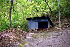 あの花秘密基地!