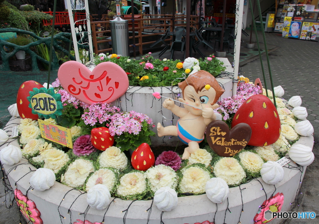 今日はバレンタインデー♡