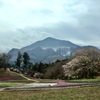 あの花聖地巡礼　羊山公園芝桜の丘!