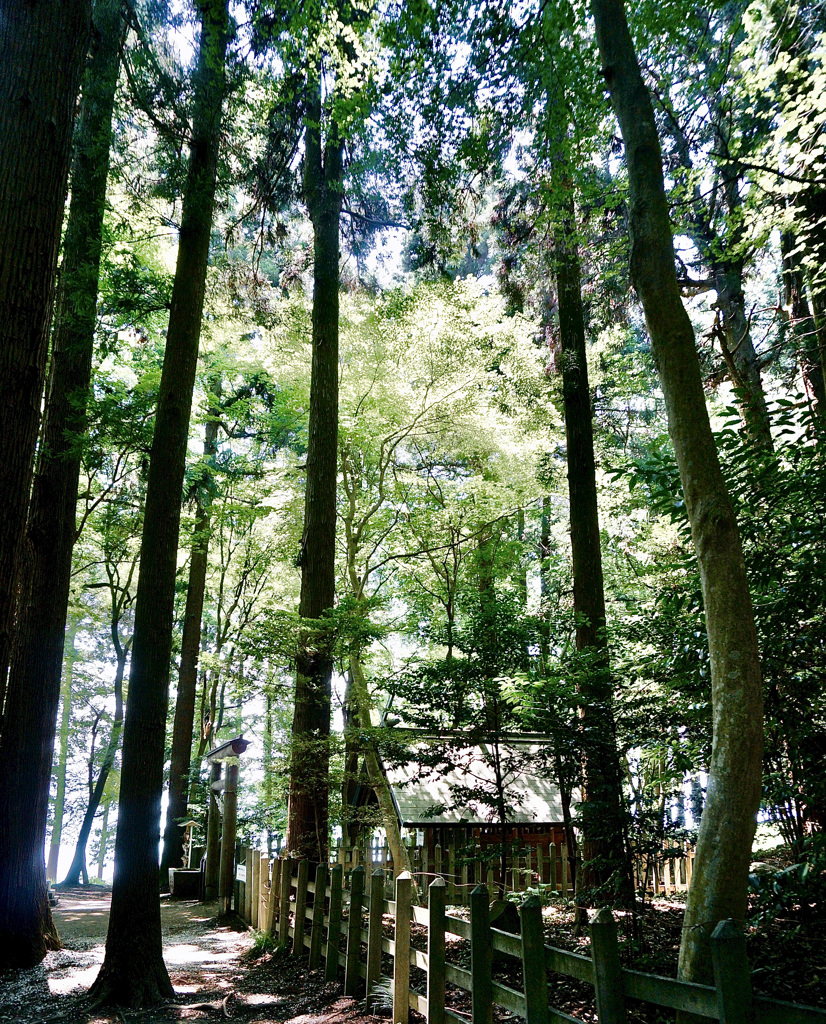 寶登山神社　奥宮2