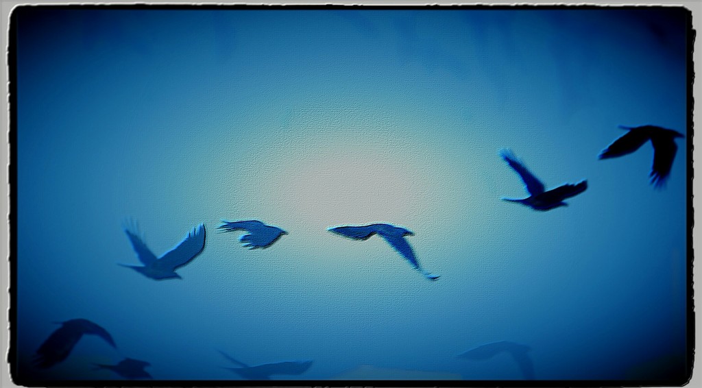 MotionShot