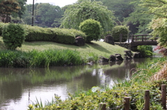 じゅん采池
