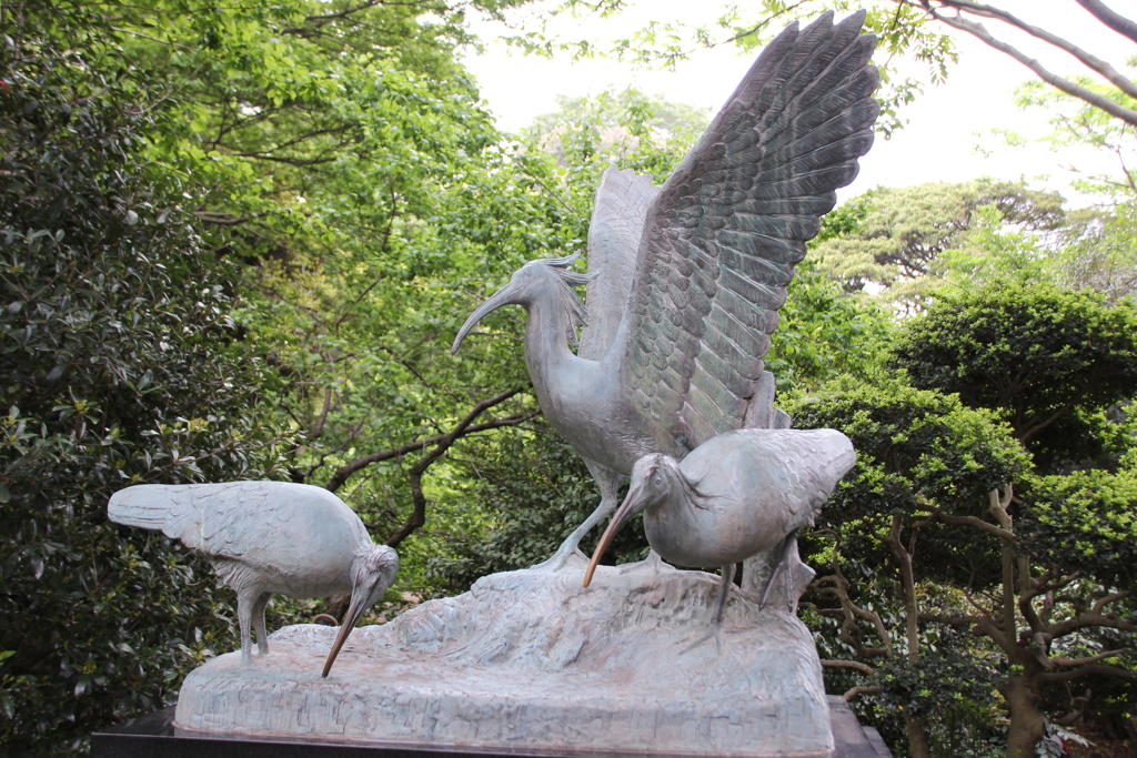 野鳥のシンボル