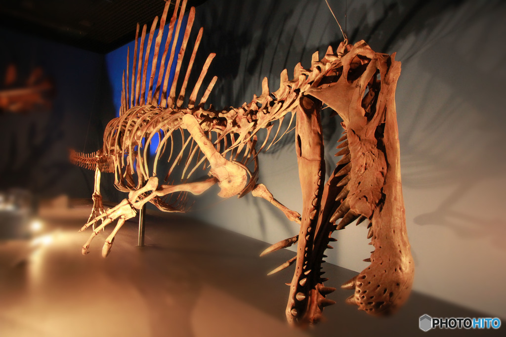 恐竜博2016スピノサウルス