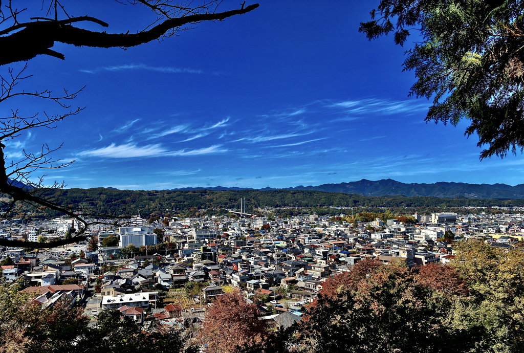 あの花! 見晴らしの丘!