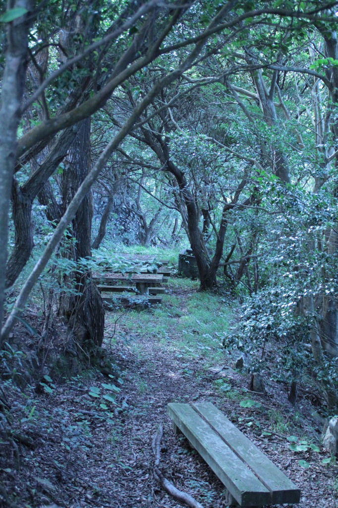鶴御崎・九州最東端の地②